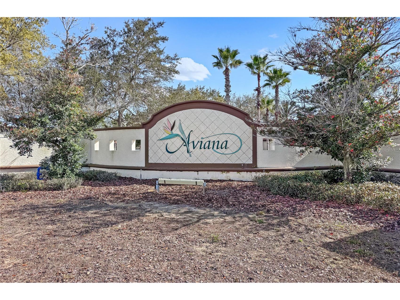 410 Viola Drive Davenport FL 33837 O6387591 image27