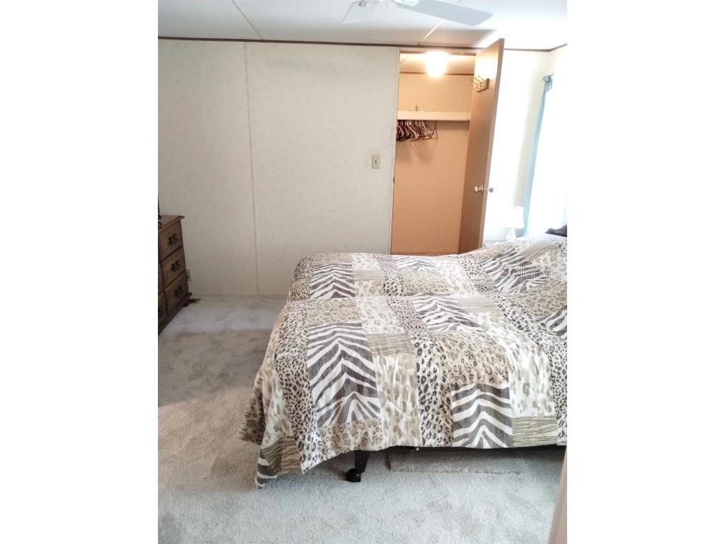 4100 Carefree Way Zephyrhills FL 33541 TB8392634 image18