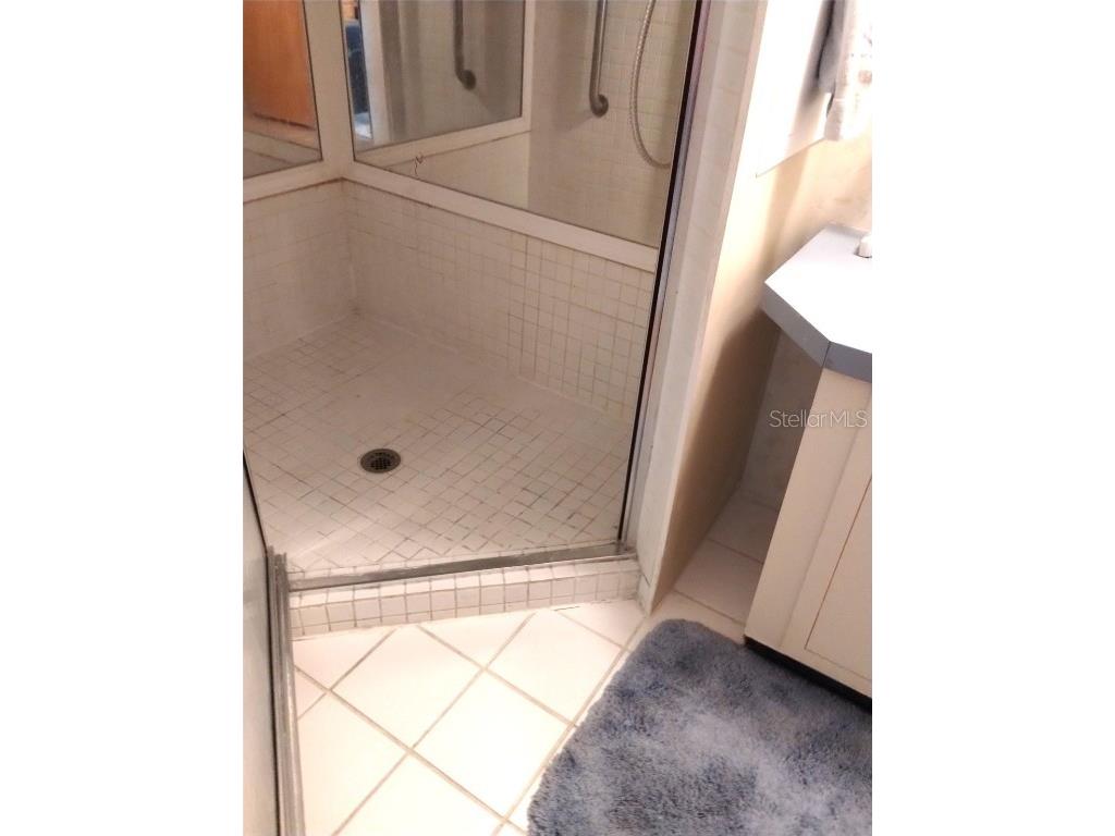 4100 Carefree Way Zephyrhills FL 33541 TB8392634 image20