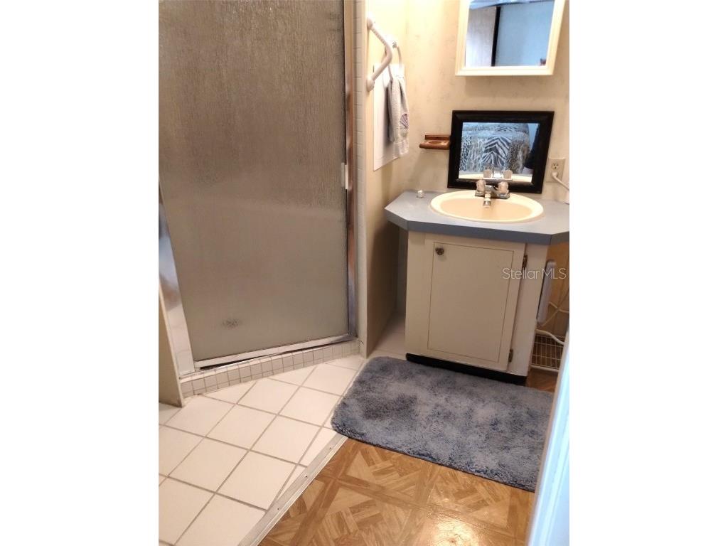 4100 Carefree Way Zephyrhills FL 33541 TB8392634 image21