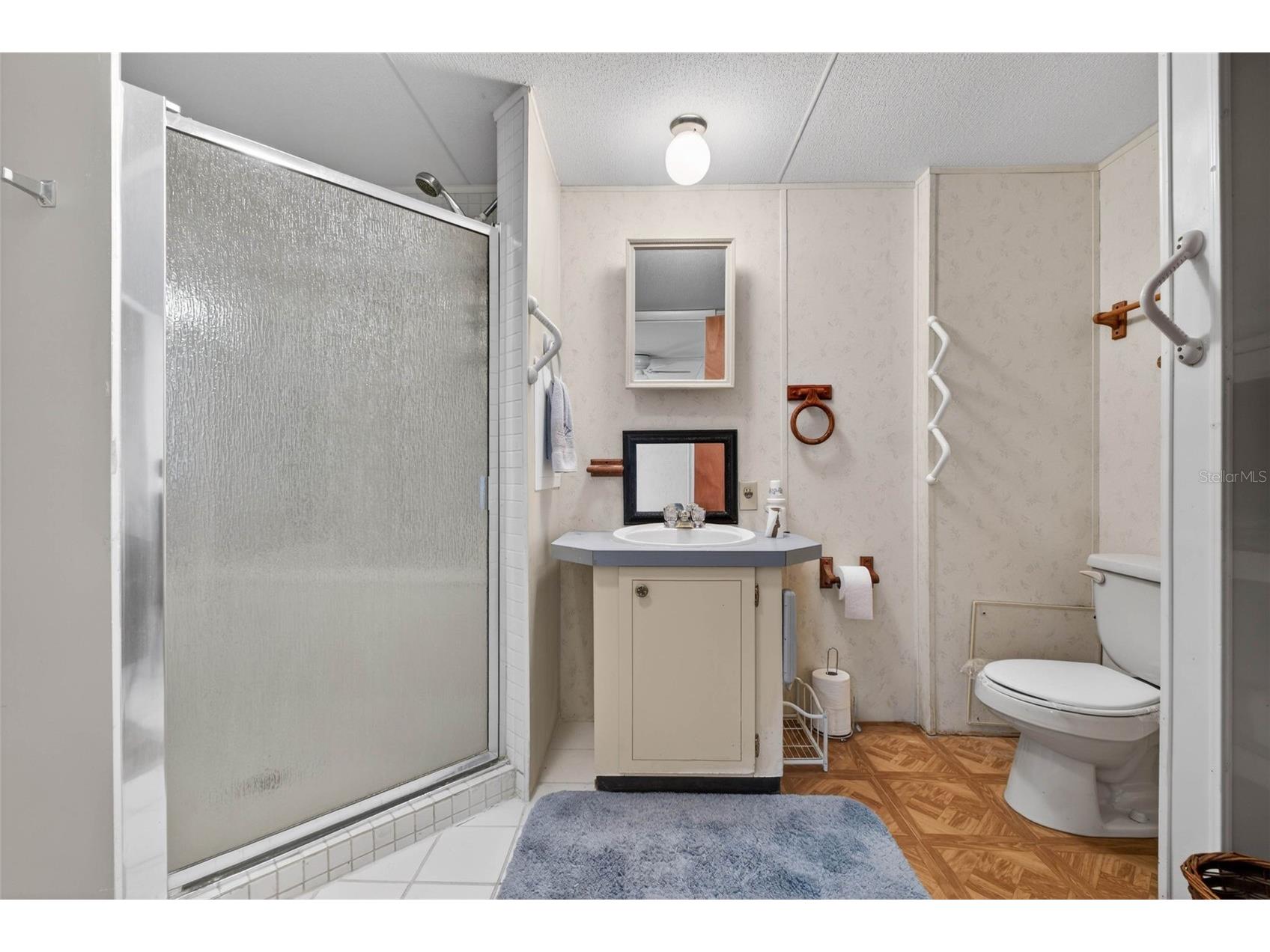 4100 Carefree Way Zephyrhills FL 33541 TB8493142 image24