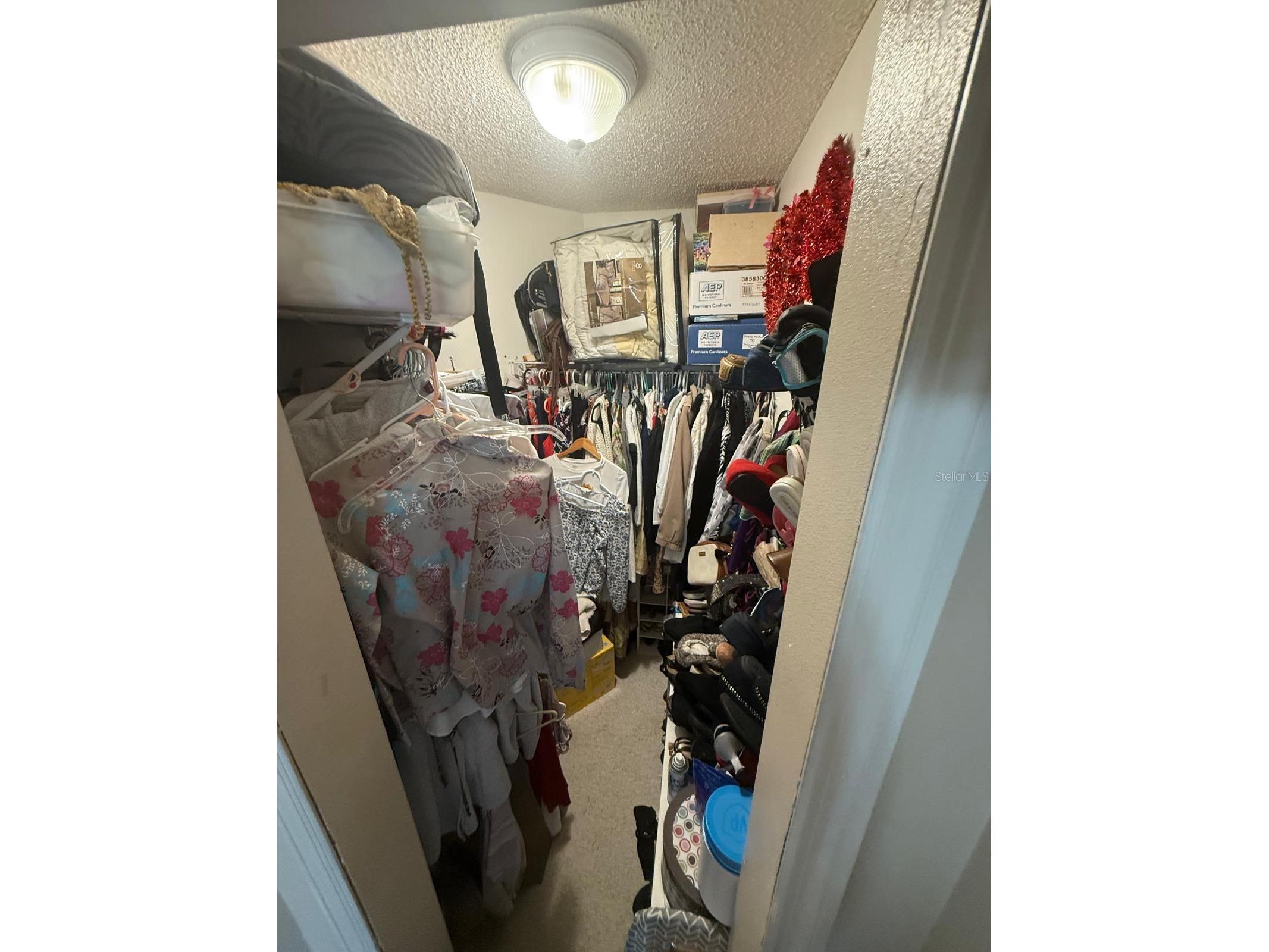 4100 Natchez Trace Drive Saint Cloud FL 34769 S5147910 image10