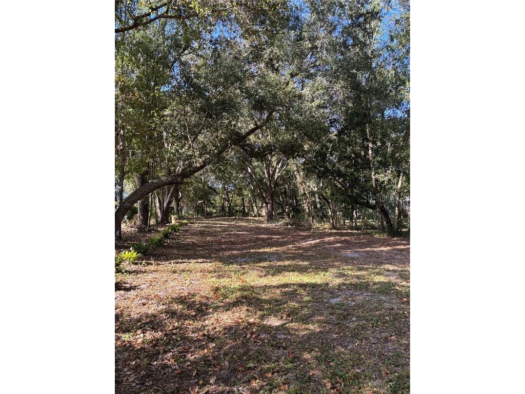 4100 Oberry Road Kissimmee FL 34746 O6330537 image5