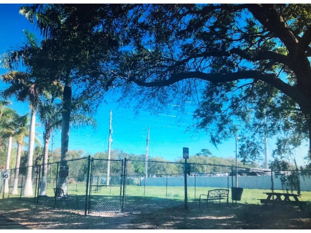 4100 Pershing Pointe Place #5 Orlando FL 32822 O6348363 image33