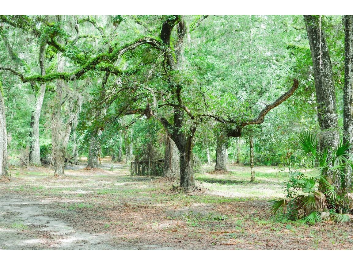 4100 SW 89th Avenue Ocala FL 34481 OM715987 image10