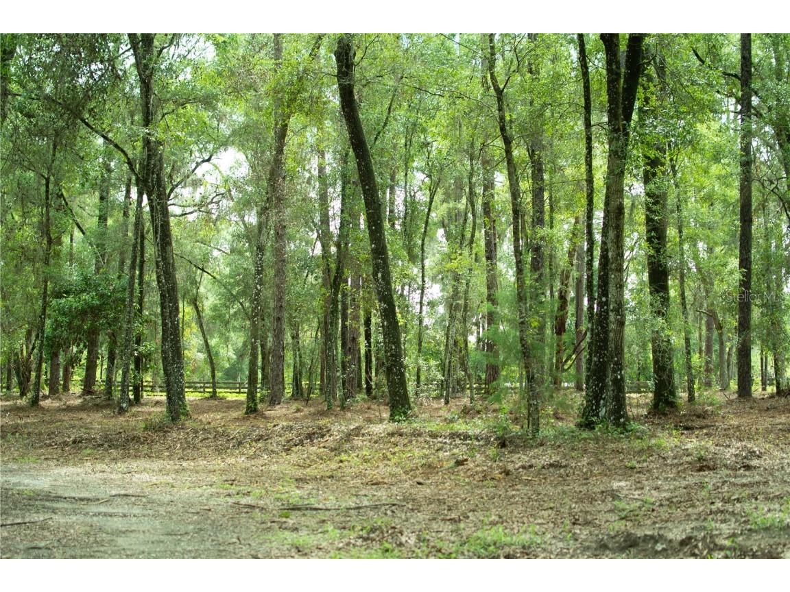 4100 SW 89th Avenue Ocala FL 34481 OM715987 image18