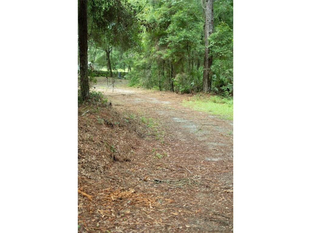 4100 SW 89th Avenue Ocala FL 34481 OM715987 image4