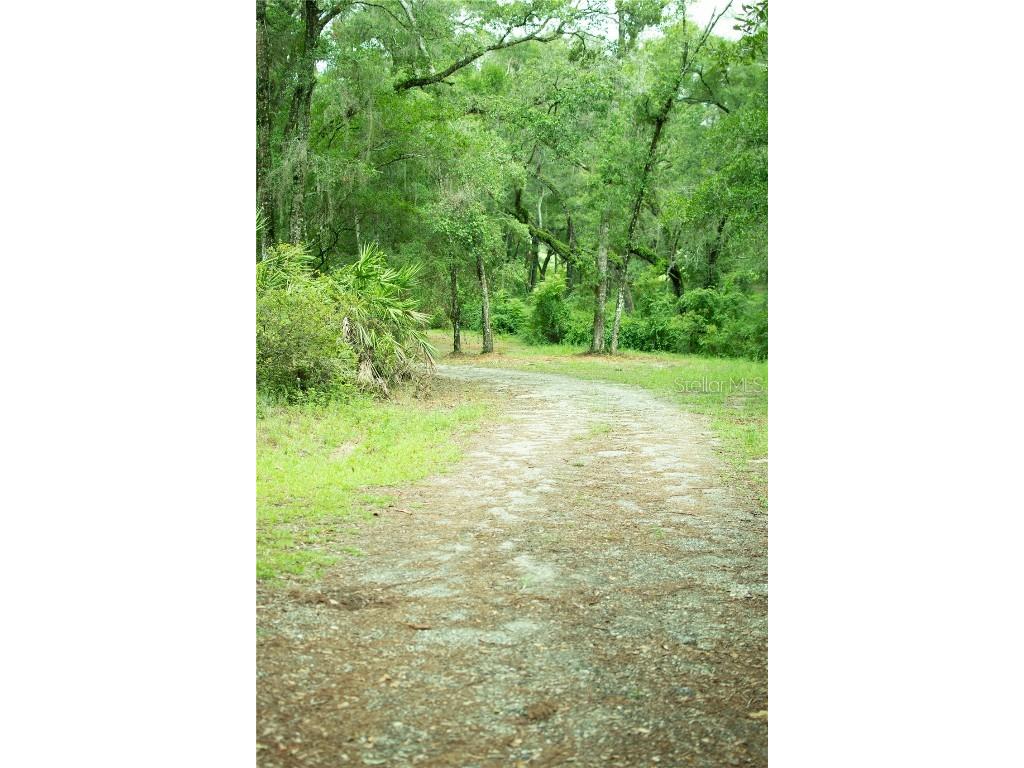 4100 SW 89th Avenue Ocala FL 34481 OM715987 image5