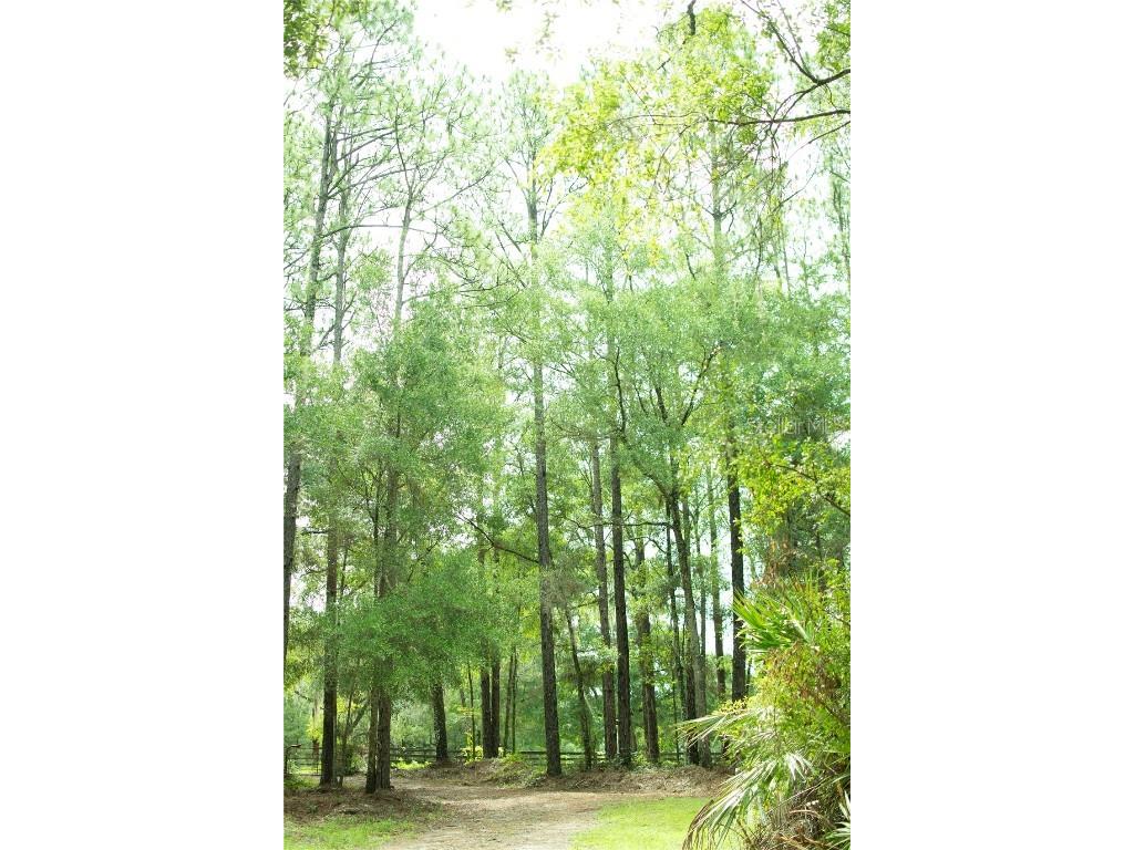 4100 SW 89th Avenue Ocala FL 34481 OM715987 image7