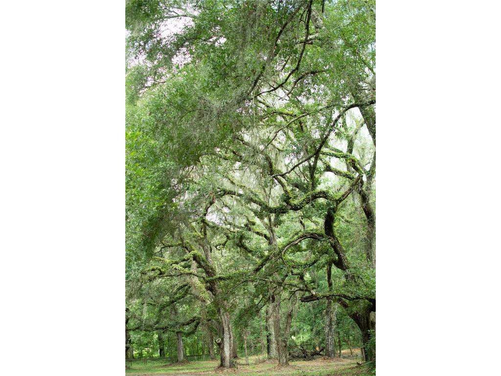 4100 SW 89th Avenue Ocala FL 34481 OM715987 image8