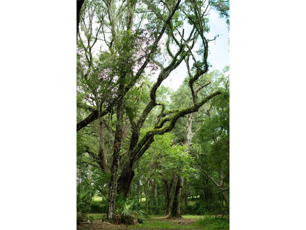 4100 SW 89th Avenue Ocala FL 34481 OM715987 image9