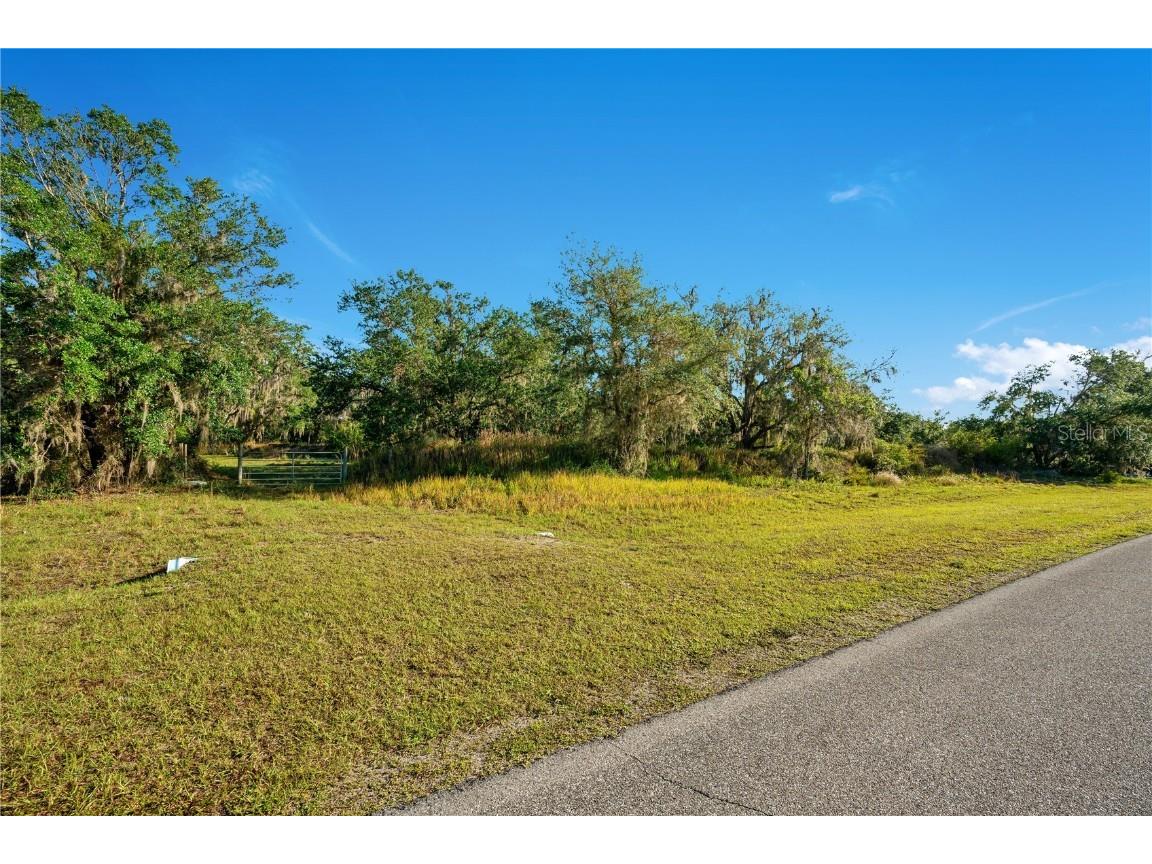 41005 20th Place E Myakka City FL 34251 W7863508 image1