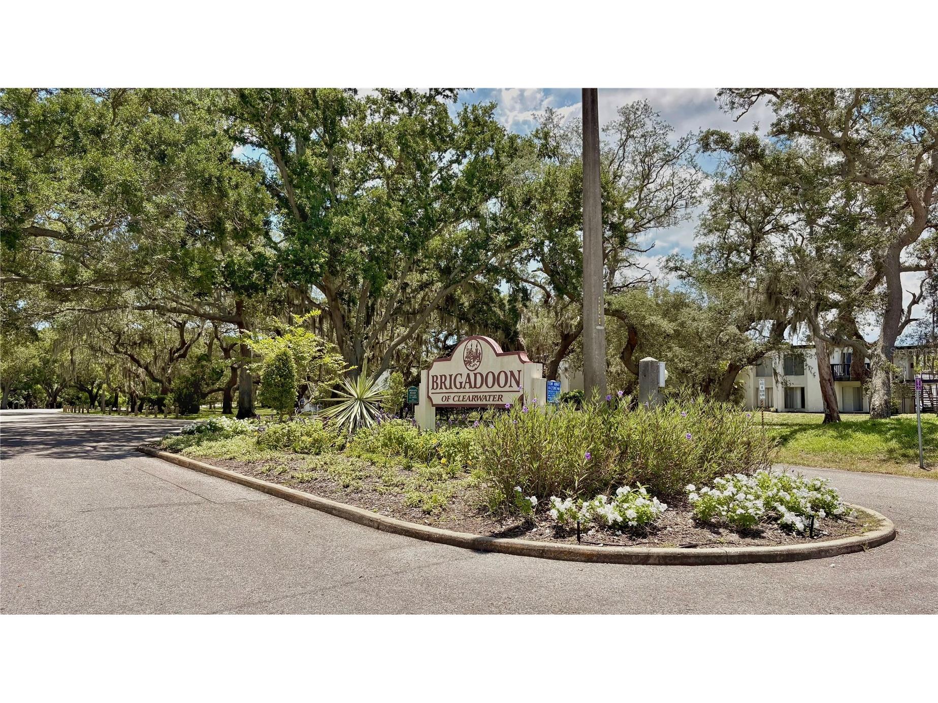 4101 Brigadoon Circle Clearwater FL 33759 TB8518179 image28
