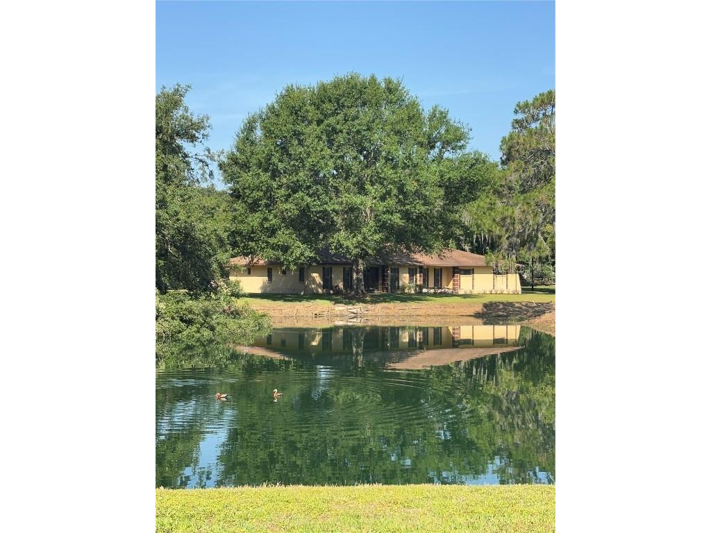 4101 N Forbes Rd Plant City FL 33565 L4952058 image1