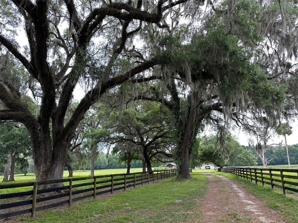 4101 NW 89th Place Ocala FL 34482 OM676140 image10