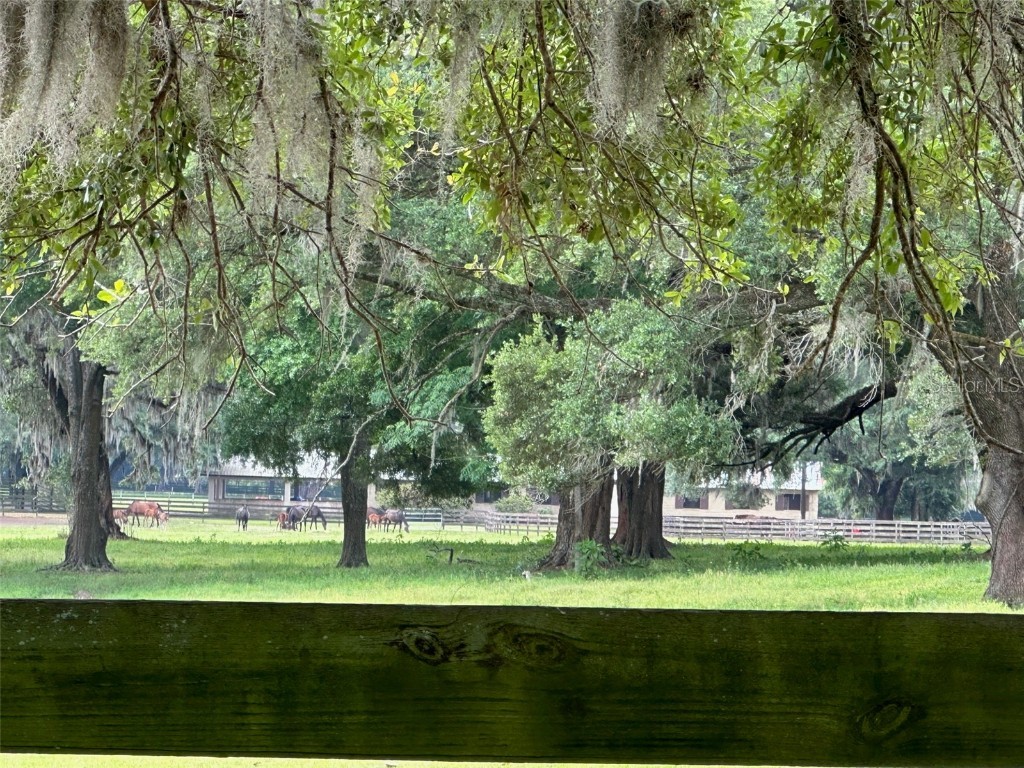 4101 NW 89th Place Ocala FL 34482 OM676140 image12