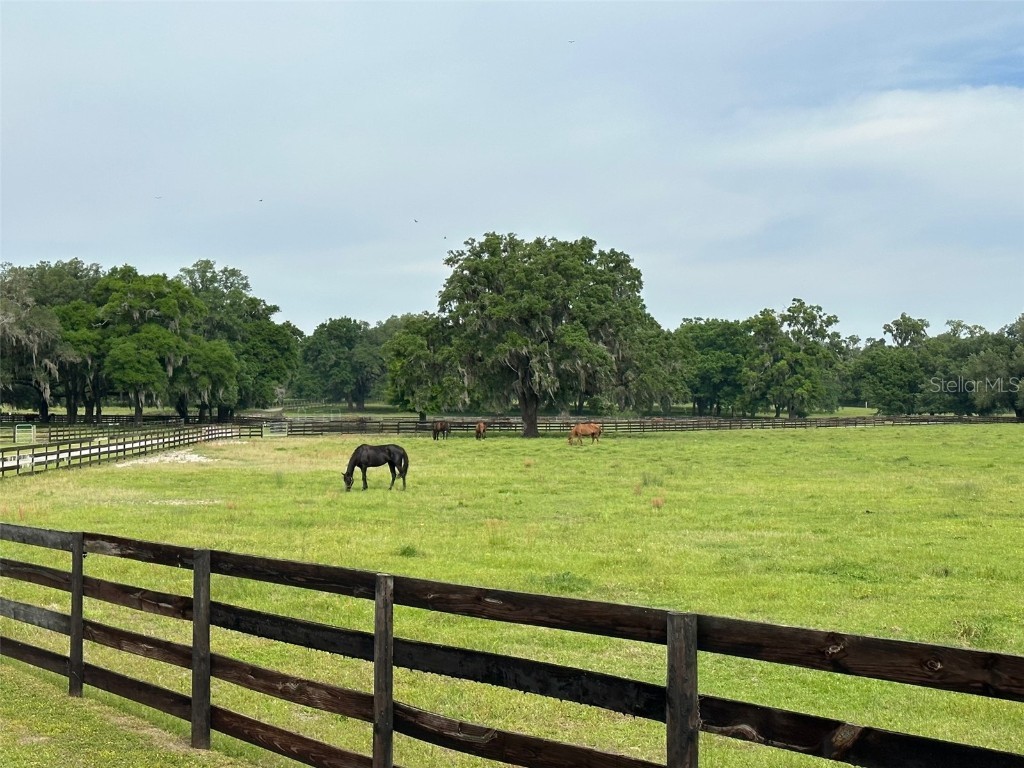 4101 NW 89th Place Ocala FL 34482 OM676140 image2