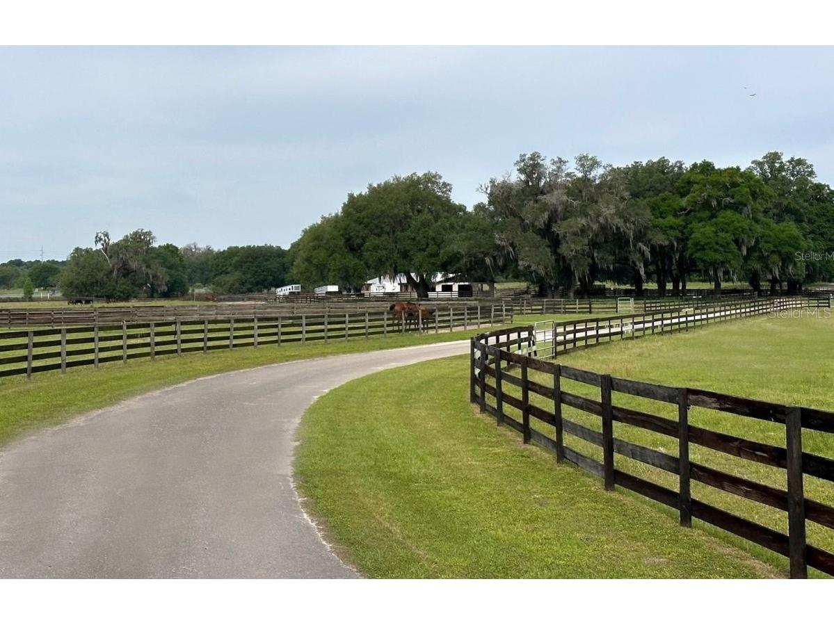 4101 NW 89th Place Ocala FL 34482 OM676140 image3