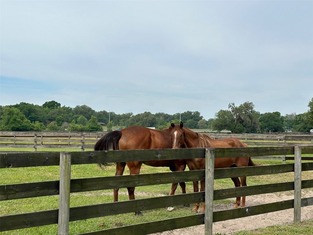 4101 NW 89th Place Ocala FL 34482 OM676140 image4