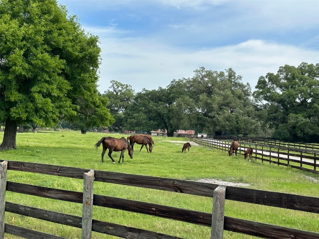 4101 NW 89th Place Ocala FL 34482 OM676140 image5