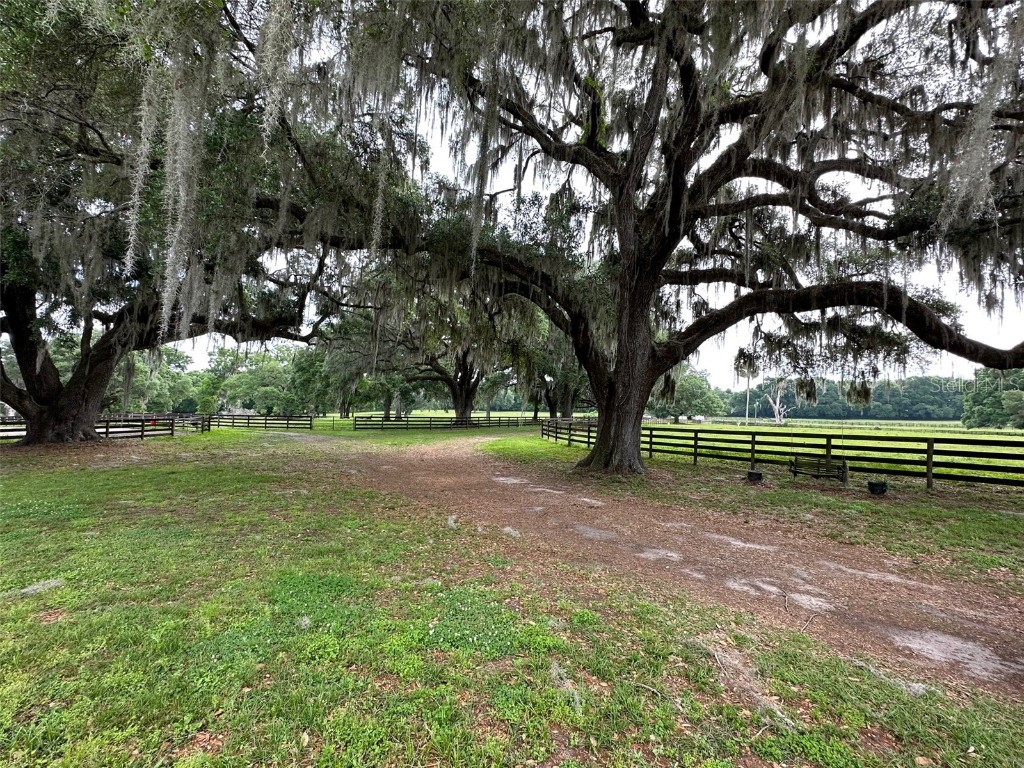 4101 NW 89th Place Ocala FL 34482 OM676140 image7