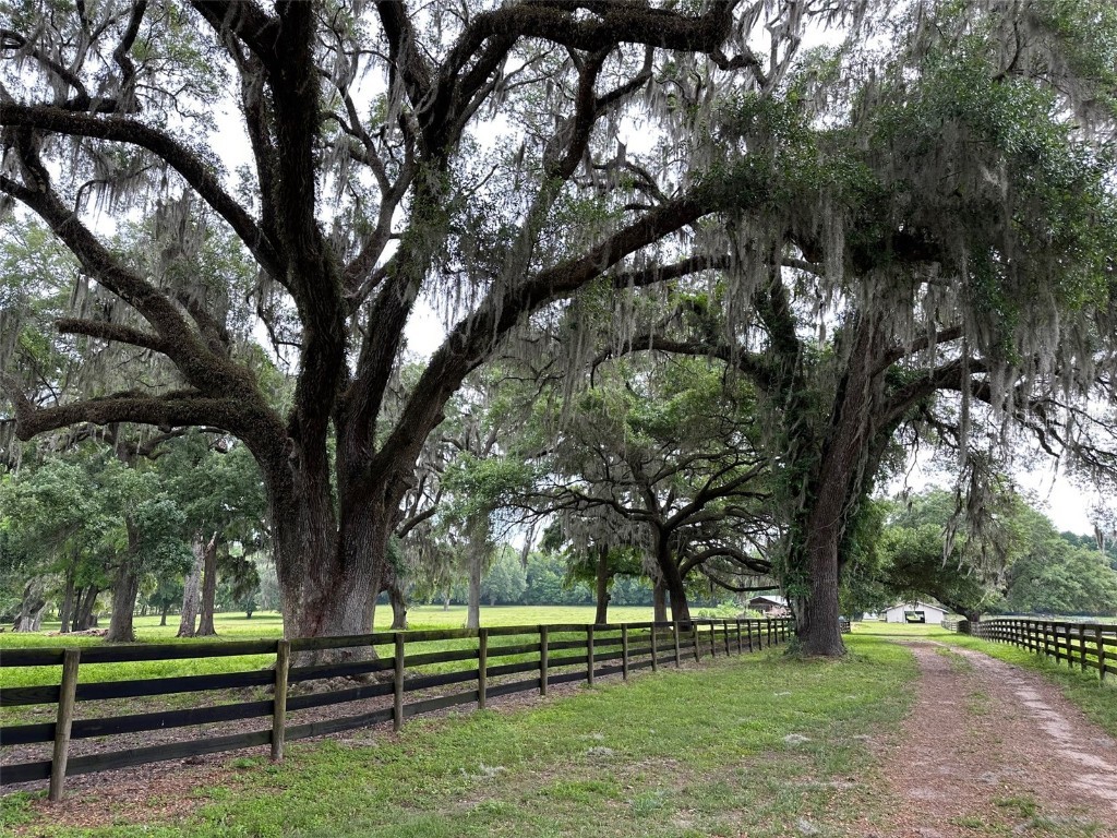 4101 NW 89th Place Ocala FL 34482 OM676140 image9
