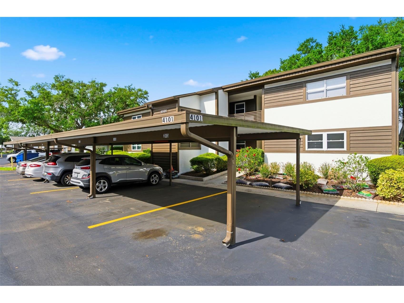 4101 Passport Lane #203 New Port Richey FL 34653 W7884724 image1