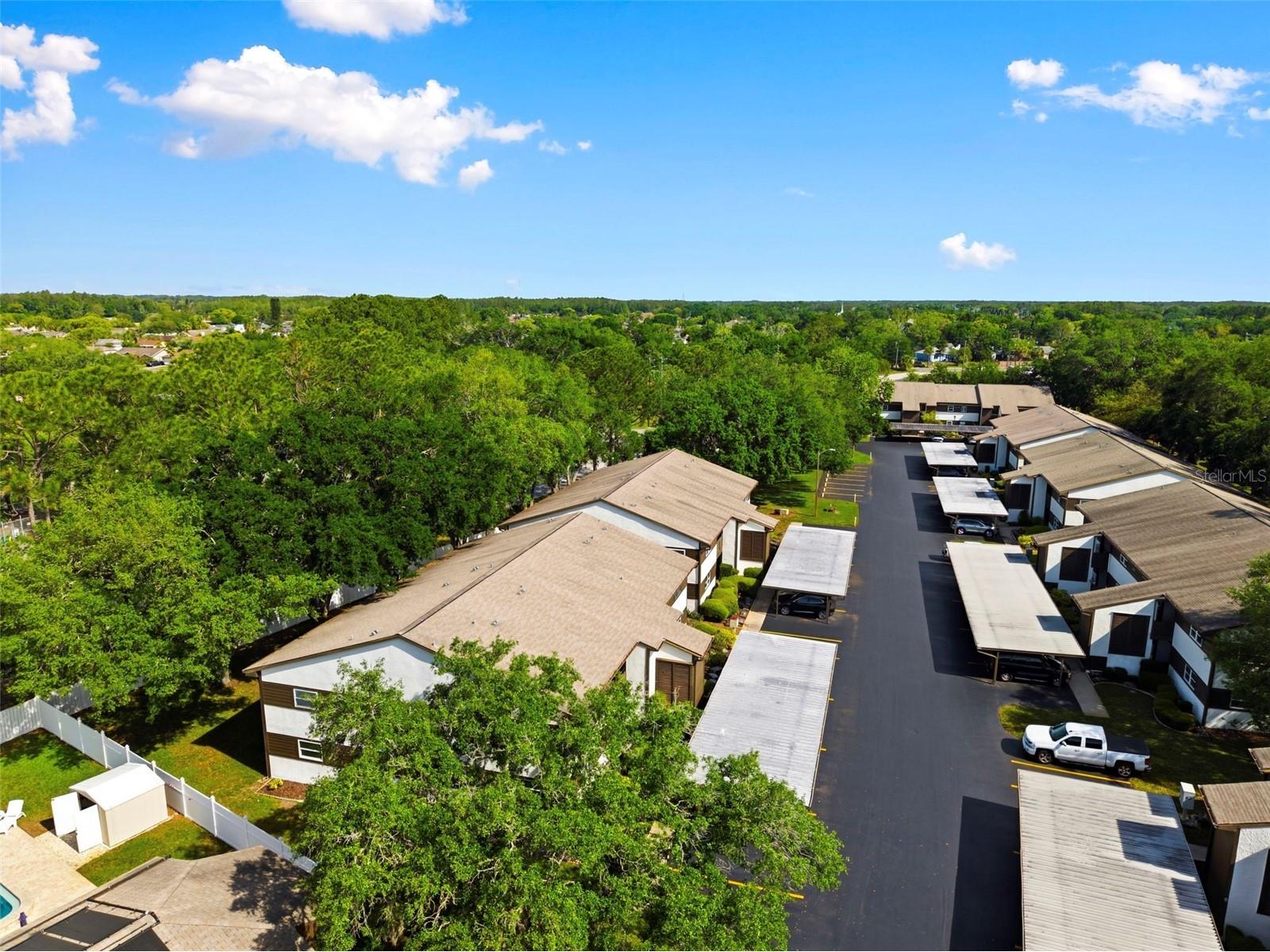 4101 Passport Lane #203 New Port Richey FL 34653 W7884724 image44