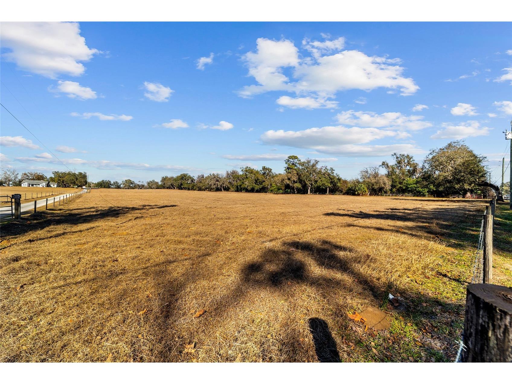 4101 SE 110th Street Belleview FL 34420 OM717556 image3