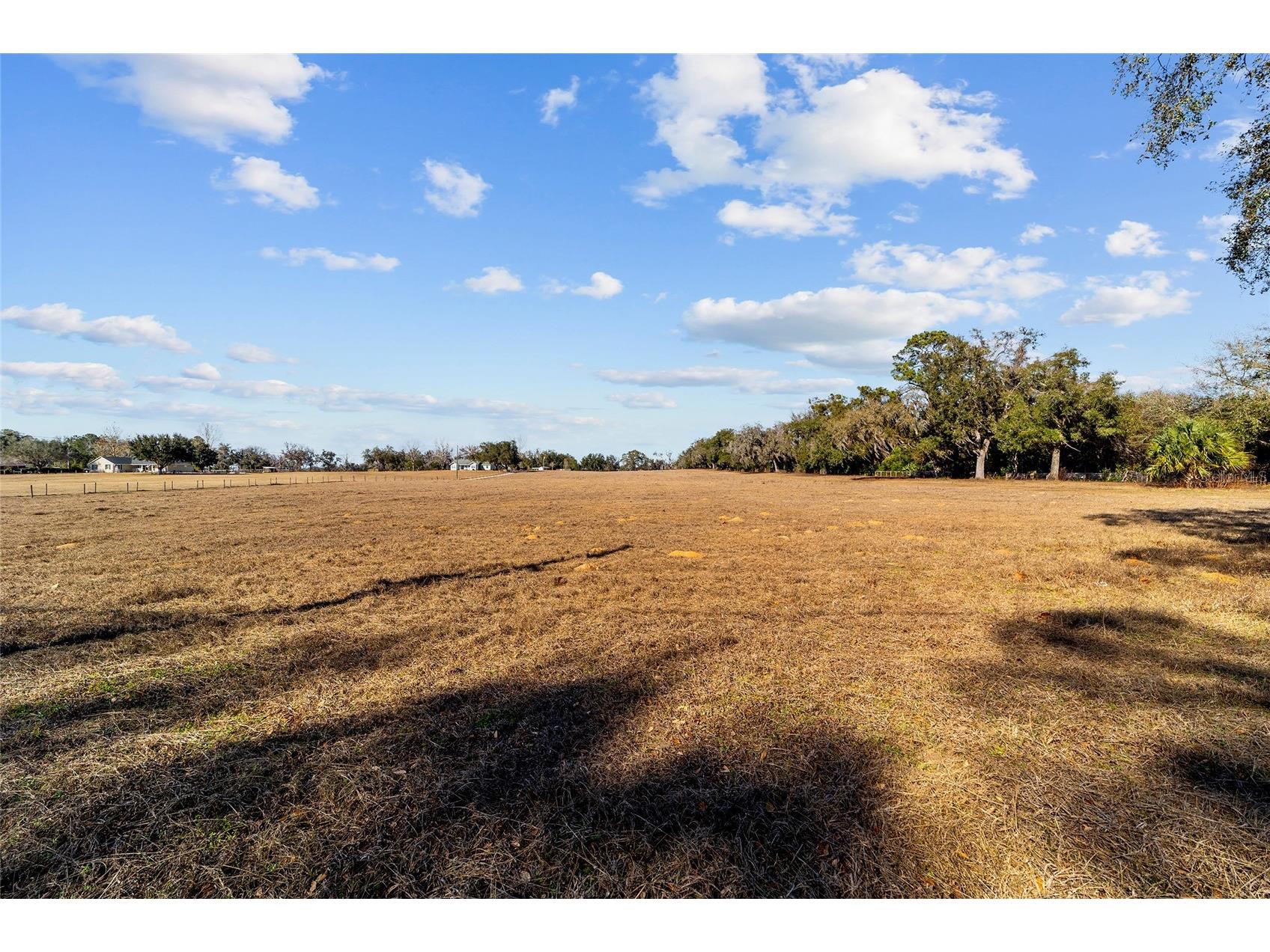 4101 SE 110th Street Belleview FL 34420 OM717556 image4