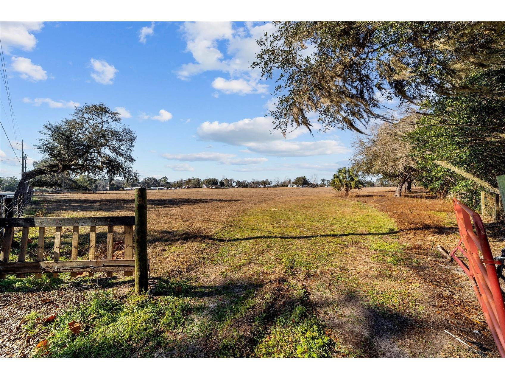 4101 SE 110th Street Belleview FL 34420 OM717556 image5