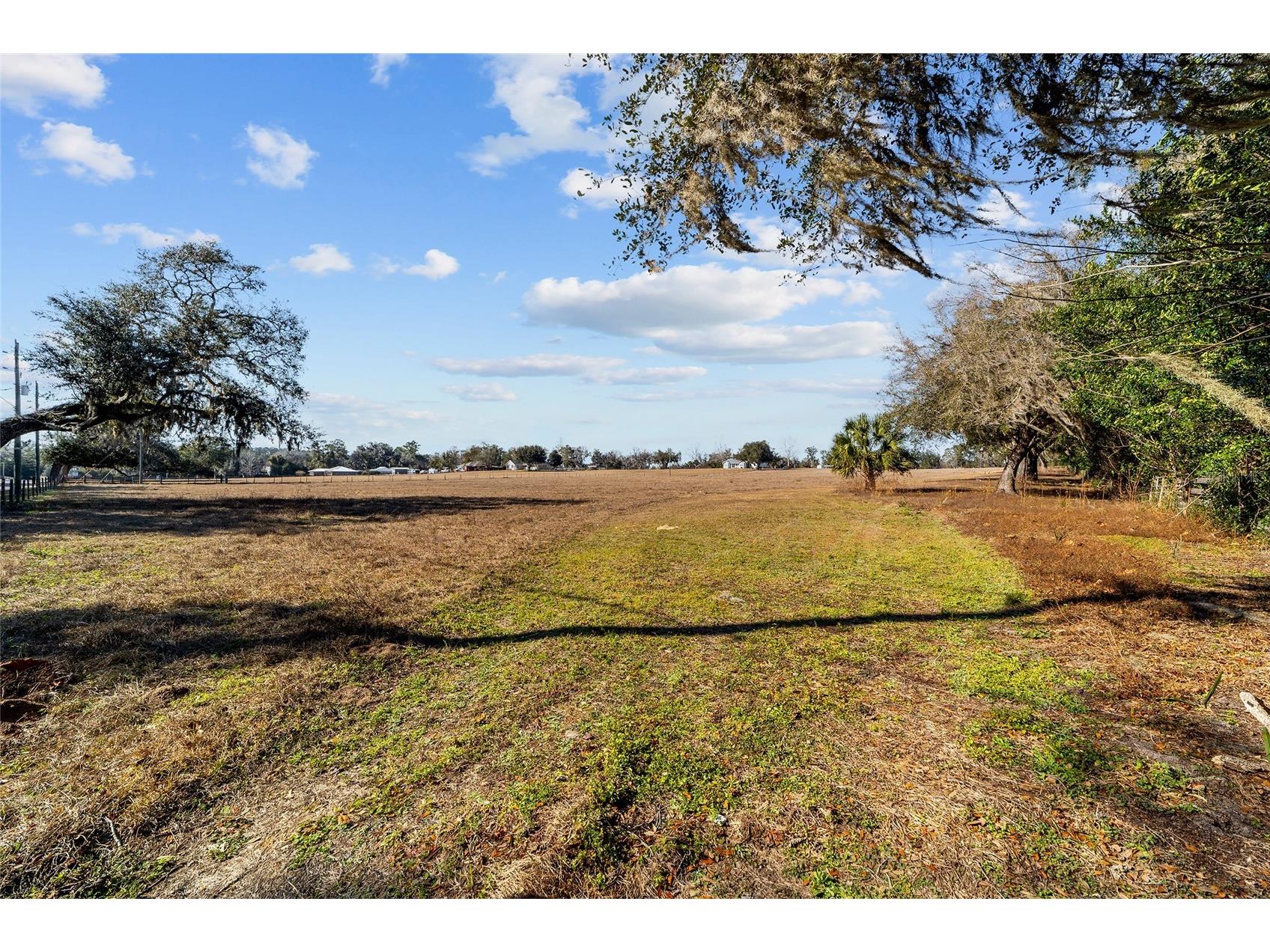 4101 SE 110th Street Belleview FL 34420 OM717556 image6