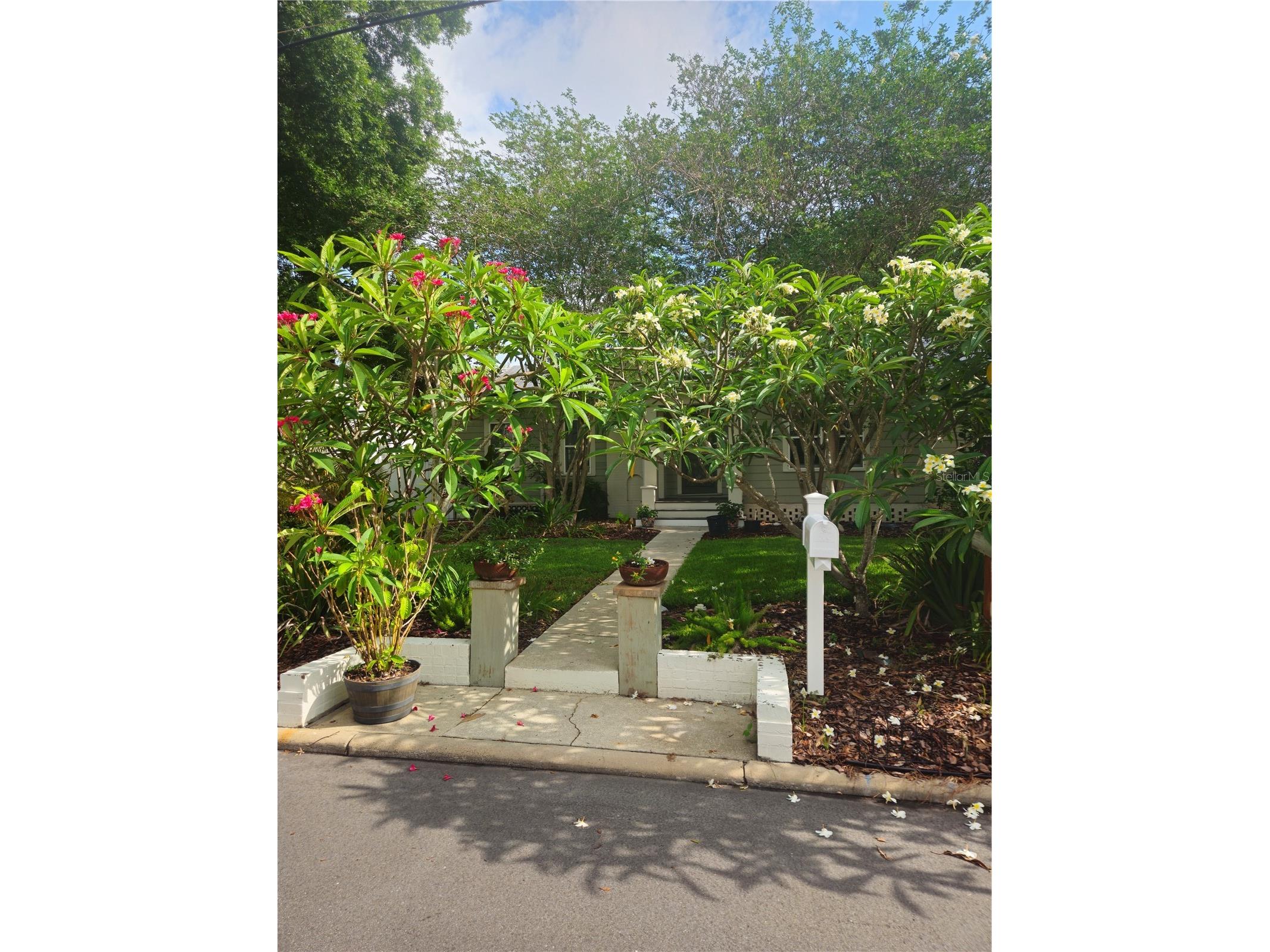 4101 W Obispo Street Tampa FL 33629 TB8512002 image3