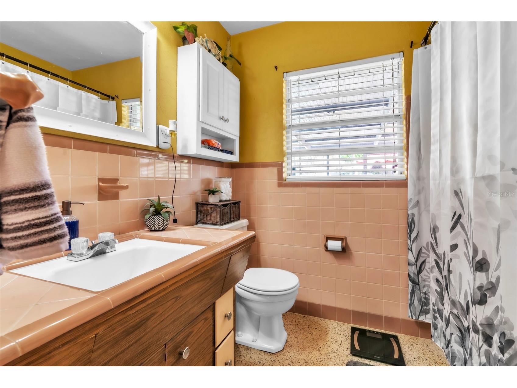 4101 Yardley Avenue N Saint Petersburg FL 33713 TB8487630 image21