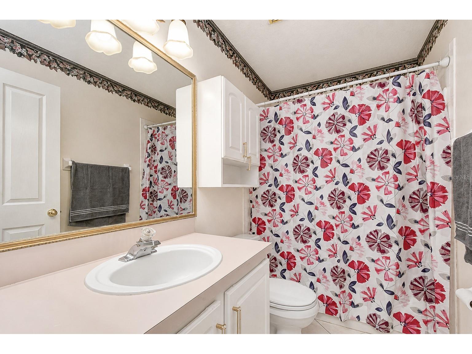 4102 Amber Ridge Lane Valrico FL 33594 TB8528707 image17