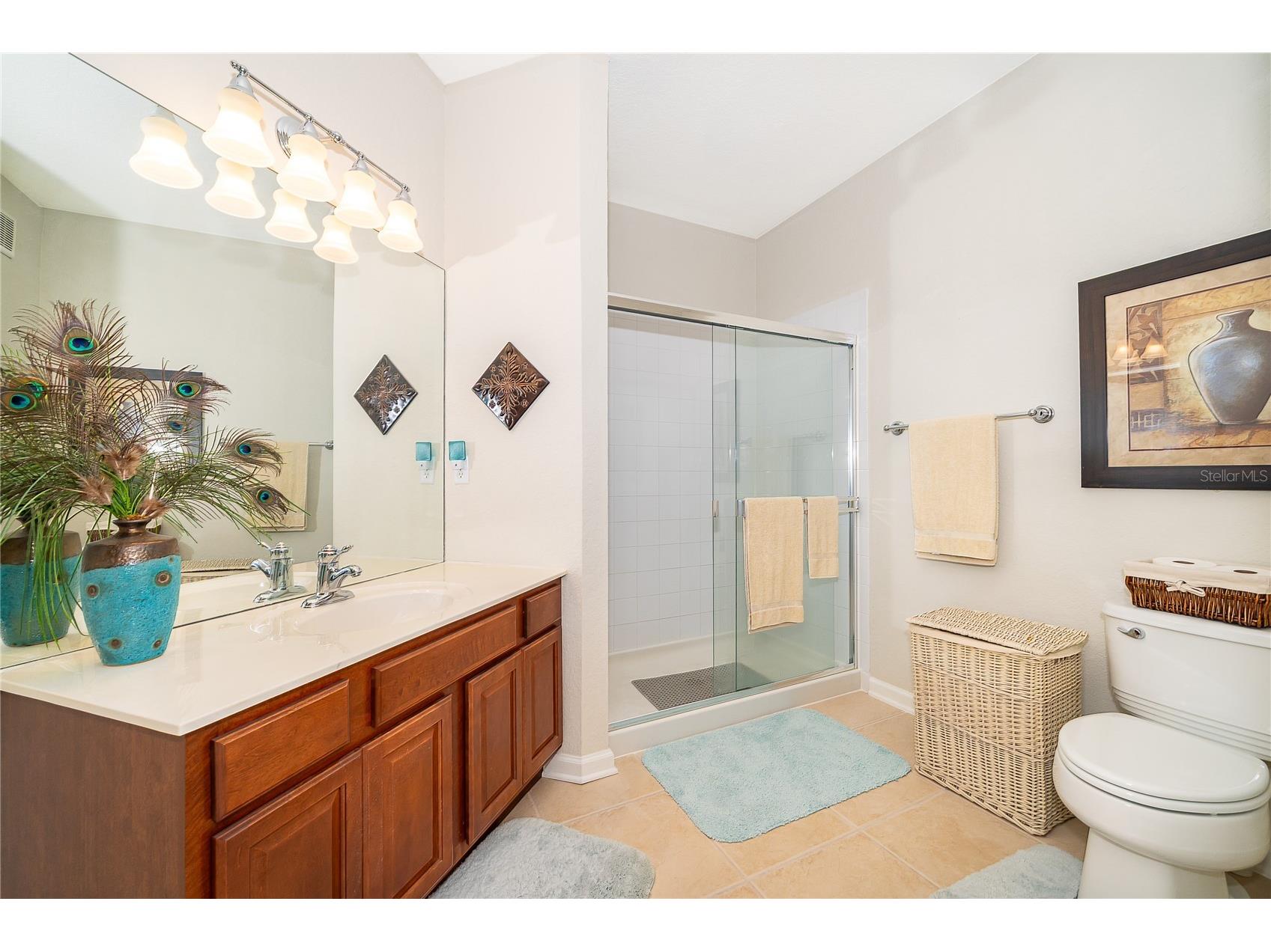 4102 Breakview Drive #40203 Orlando FL 32819 O6417542 image25