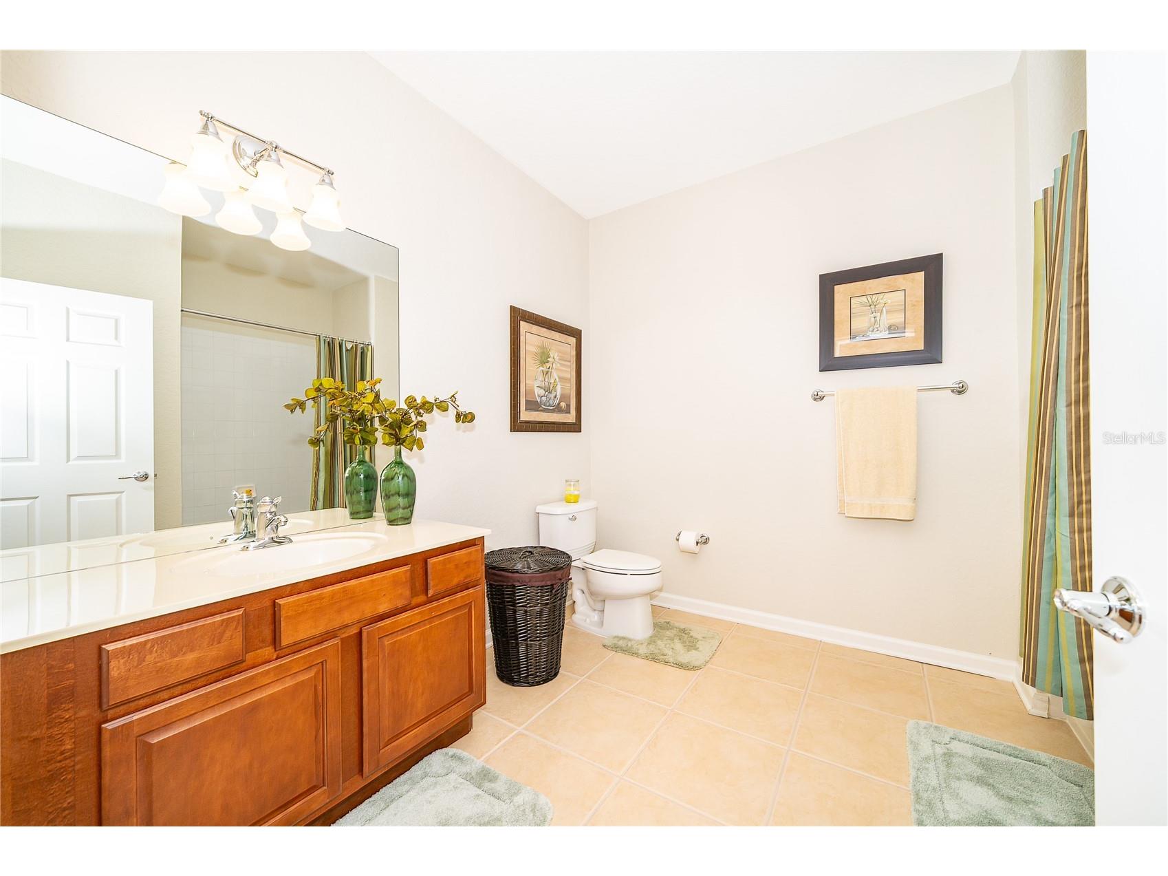 4102 Breakview Drive #40203 Orlando FL 32819 O6417542 image26