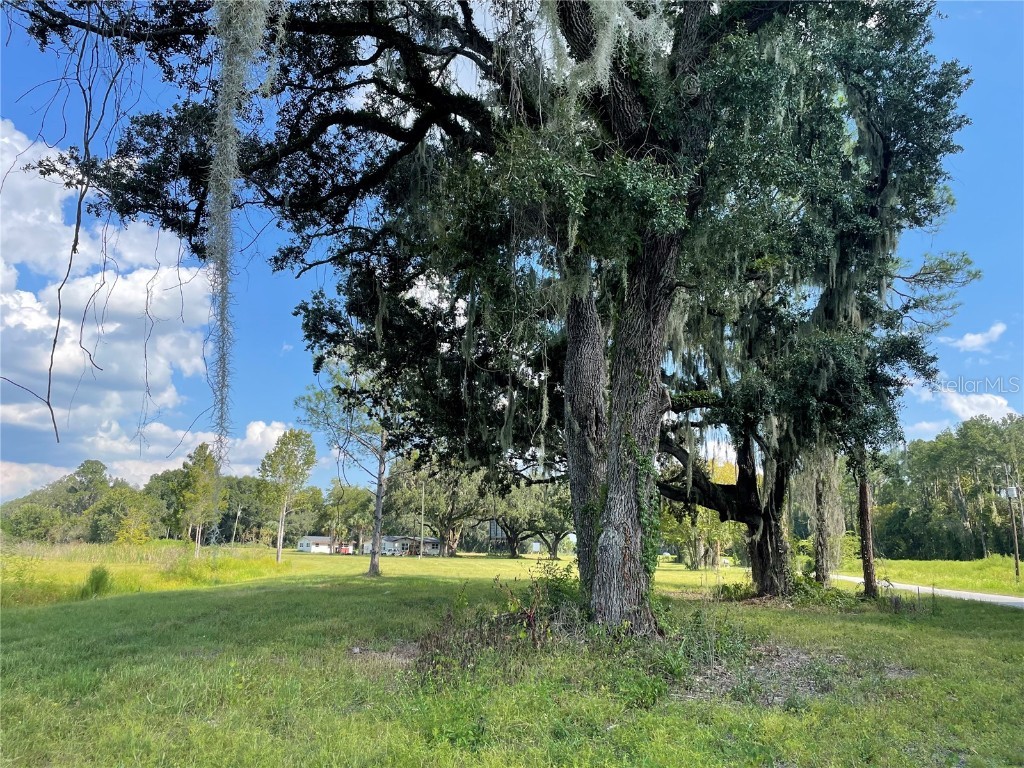 4102 County Road 181 Wildwood FL 34785 G5074217 image3