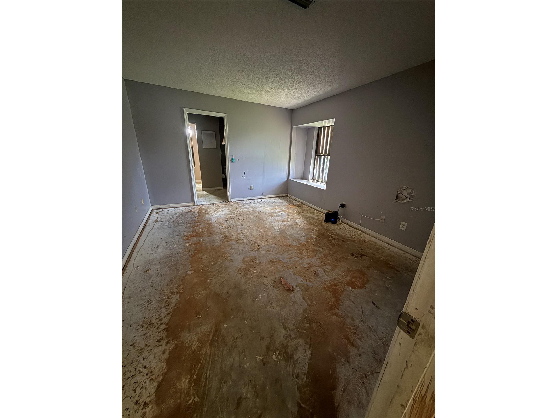 4102 Gulfstream Bay Court Orlando FL 32822 O6424544 image10