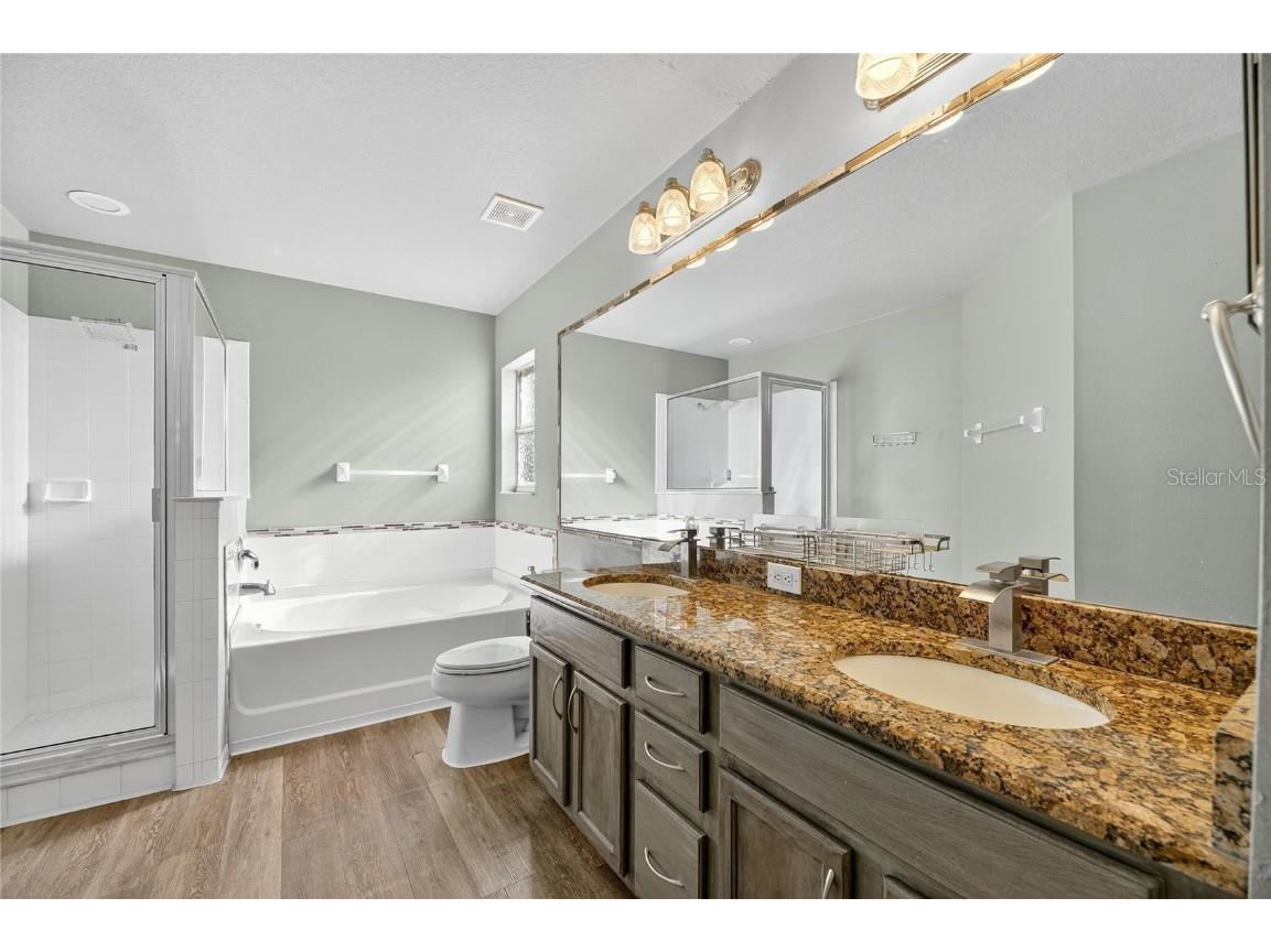 4102 Medbury Drive Wesley Chapel FL 33543 TB8440147 image35