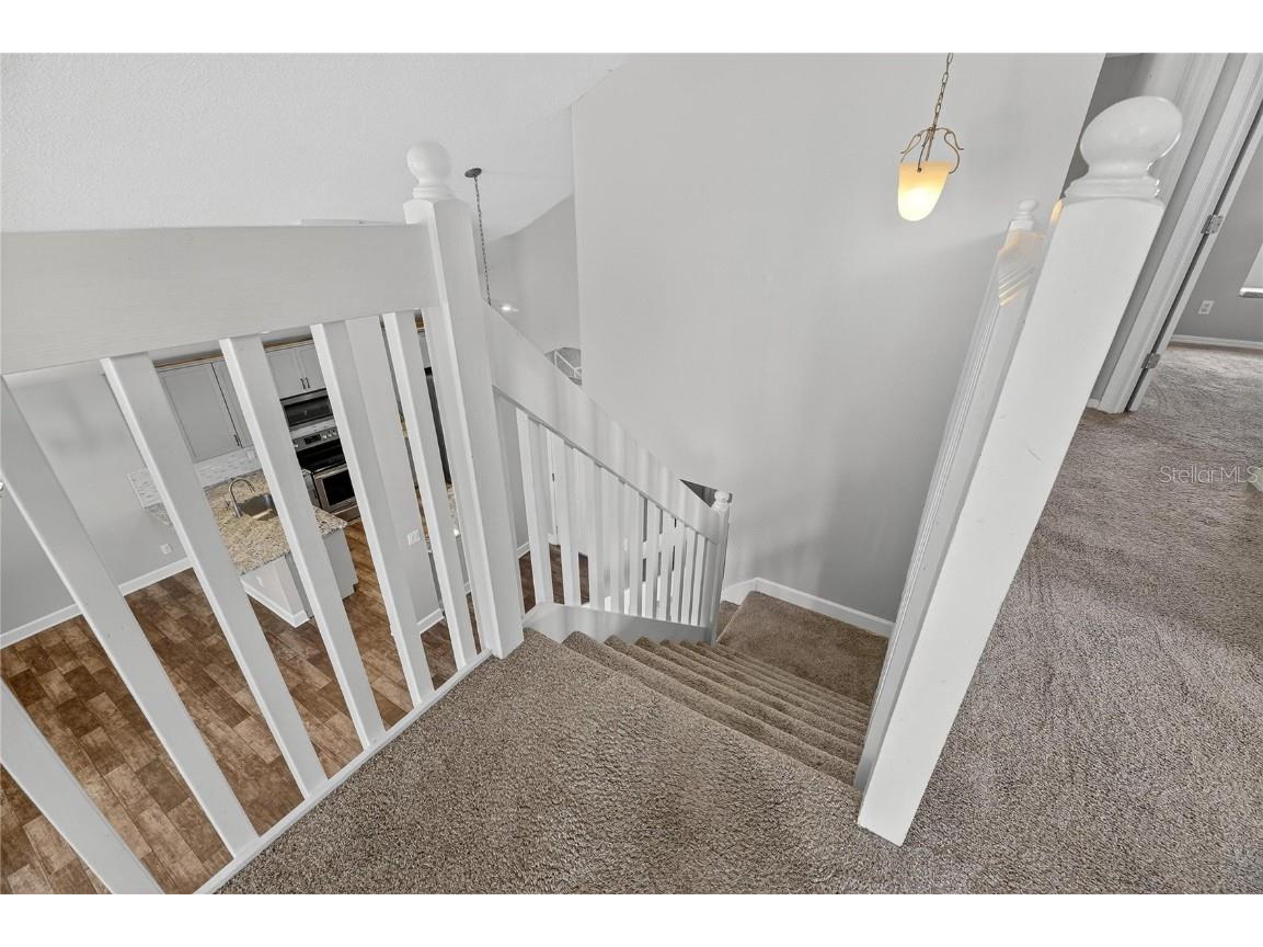 4102 Medbury Drive Wesley Chapel FL 33543 TB8440147 image41