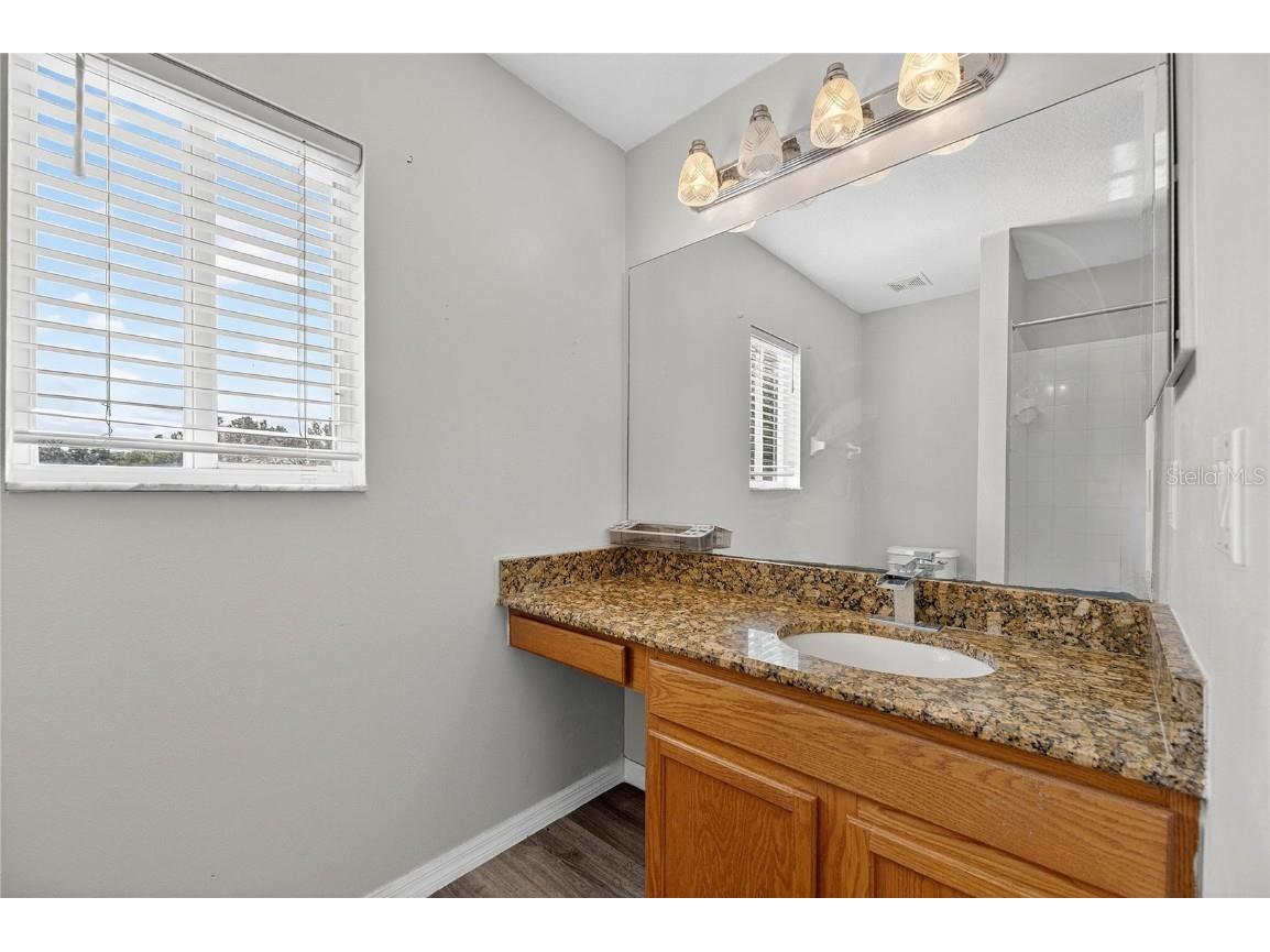 4102 Medbury Drive Wesley Chapel FL 33543 TB8440147 image47