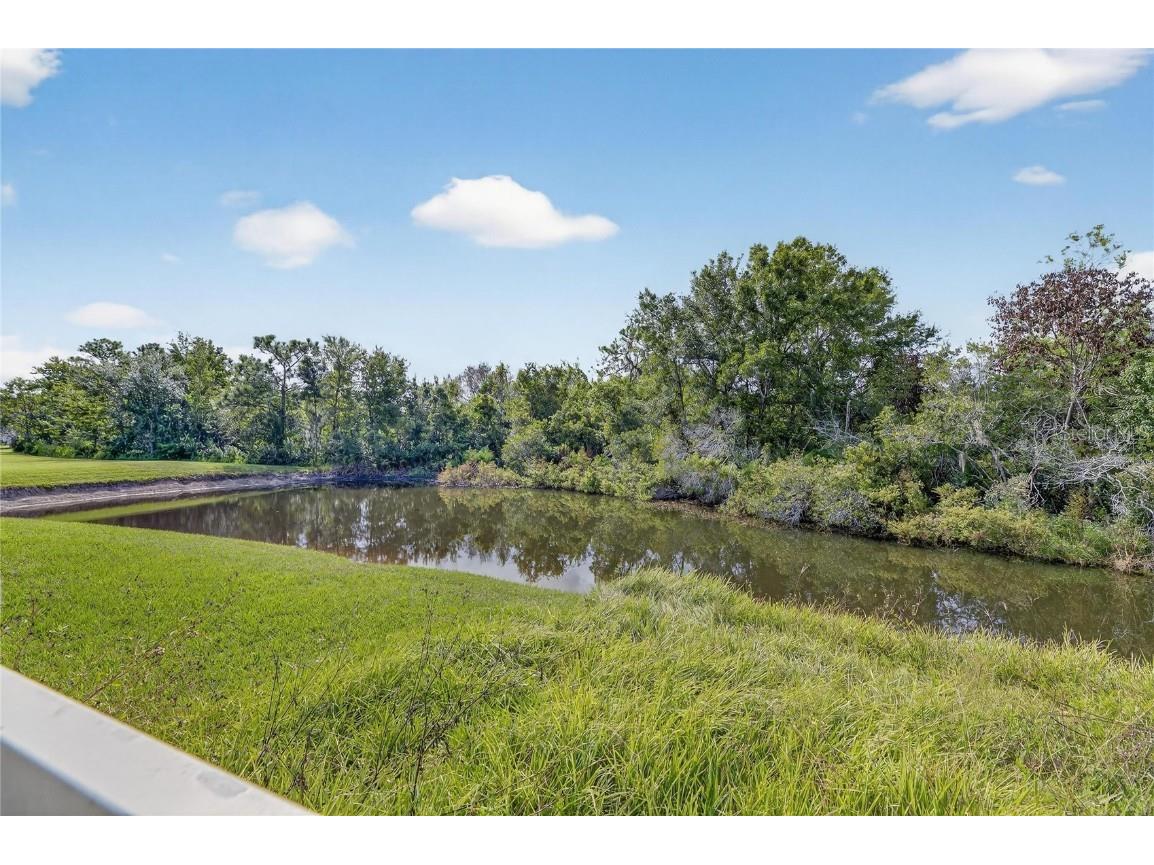 4102 Medbury Drive Wesley Chapel FL 33543 TB8440147 image65