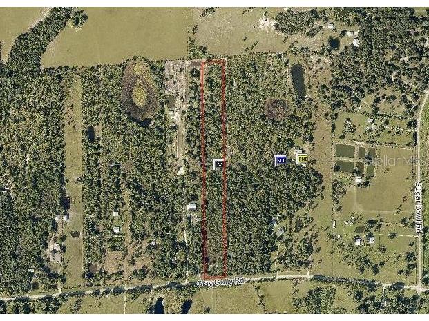 41025 Clay Gully Road Myakka City FL 34251 A4576485 image1