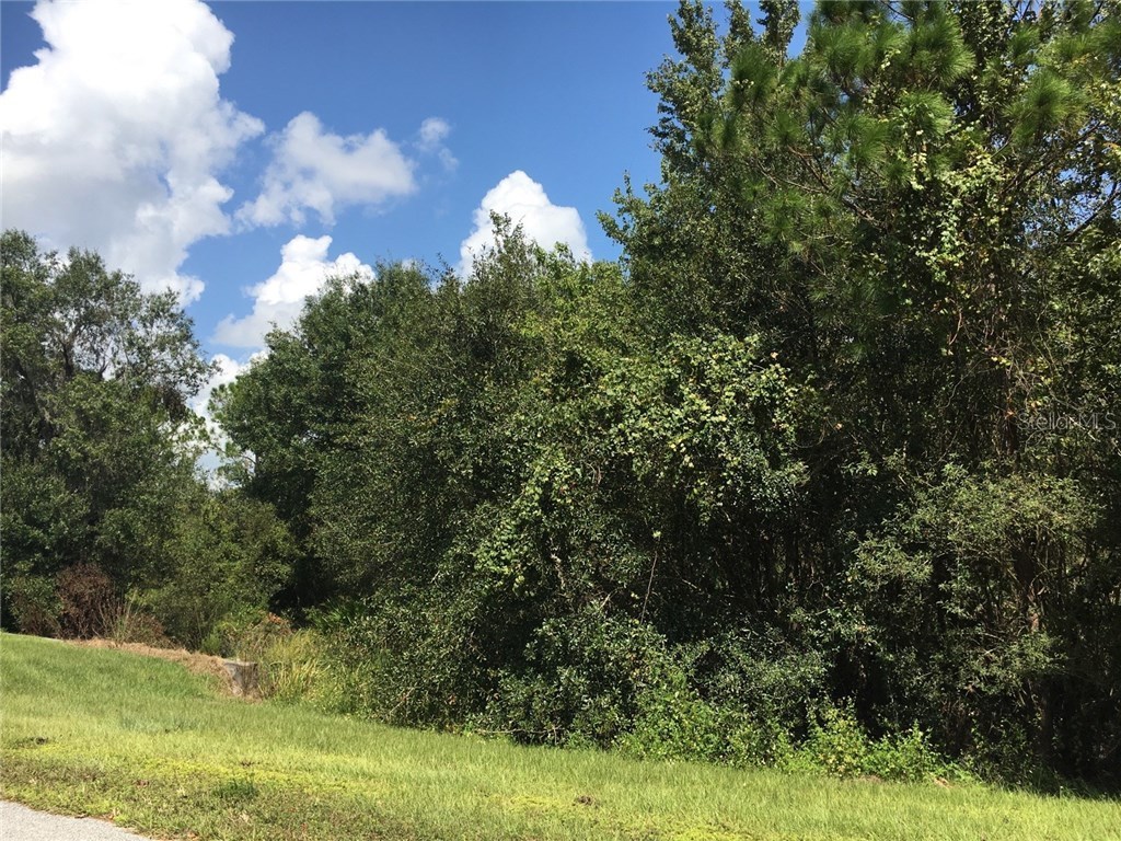 41025 E 20th Place Myakka City FL 34251 A4196499 image2