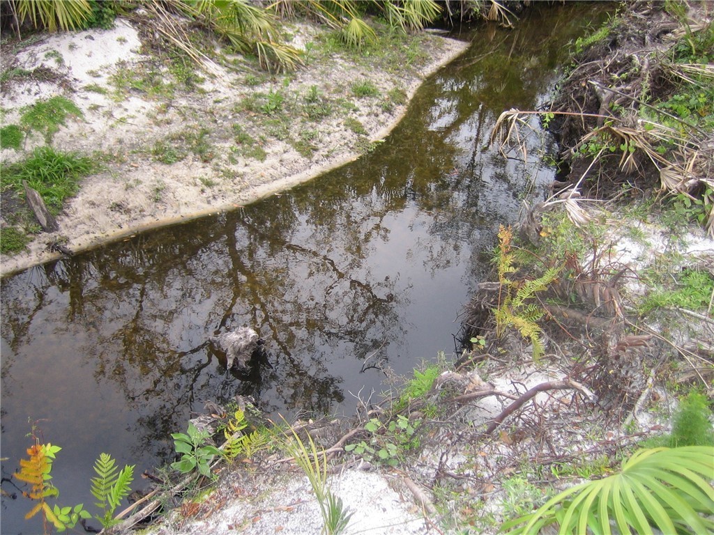 41025 E 20th Place Myakka City FL 34251 A4196499 image6