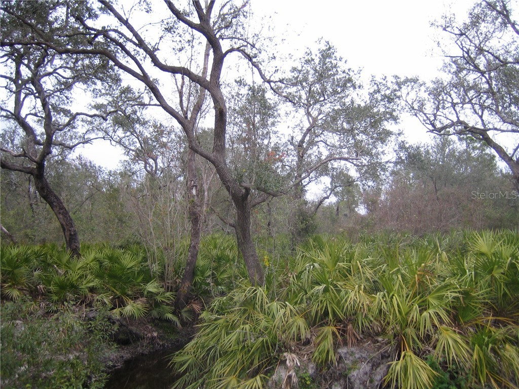 41025 E 20th Place Myakka City FL 34251 A4196499 image8