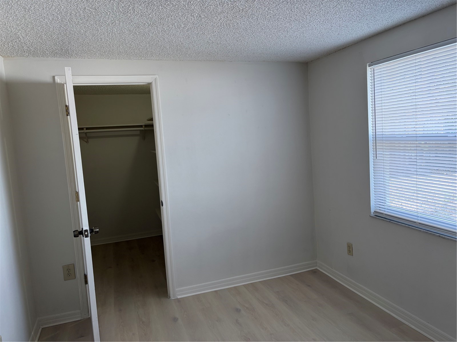4103 Darlington Road Holiday FL 34691 TB8507822 image11