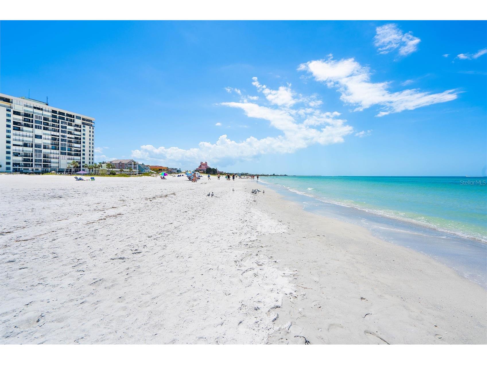 4103 Gulf Boulevard #201 Saint Pete Beach FL 33706 TB8487537 image21