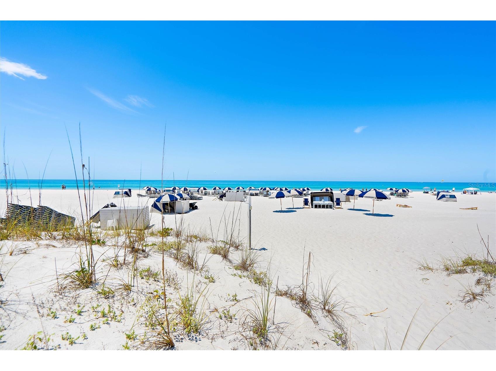 4103 Gulf Boulevard #201 Saint Pete Beach FL 33706 TB8487537 image24